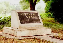 爱游戏体育客户端- 这也行？风云突变里昂清晨调整名单尼斯再遭质疑备战全明星赛，塔图姆在德国队比赛中关键助攻